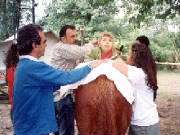 Espina bifida