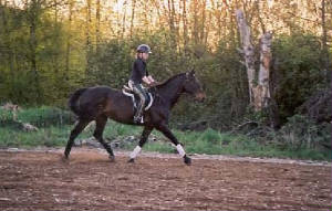 Equitacion