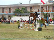 salto.jpg