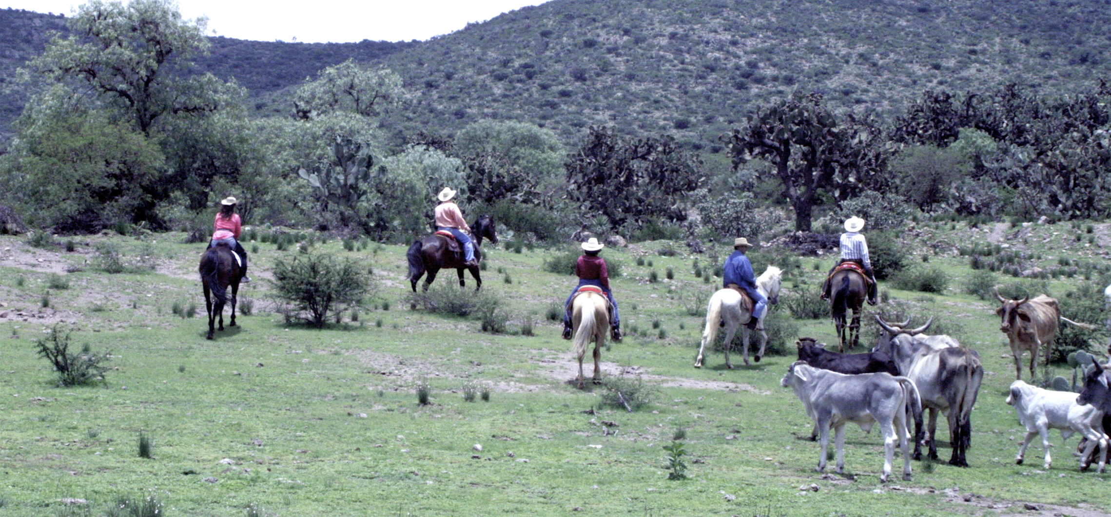 En la sierra