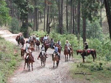 cabalgata