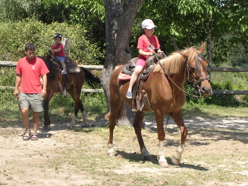 equitacion
