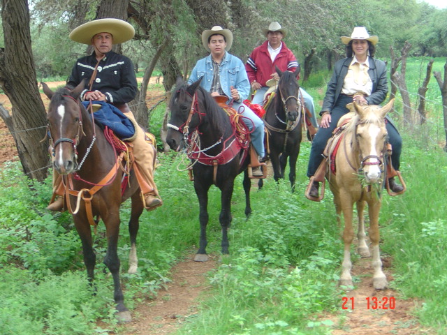 Cabalgata