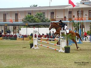 salto.jpg