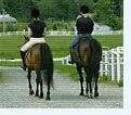 Cabalguemos