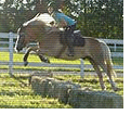 Salto
